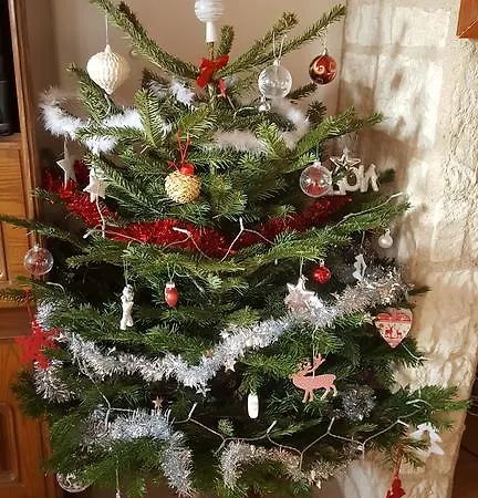 Noa كسونبورت-لونجمير