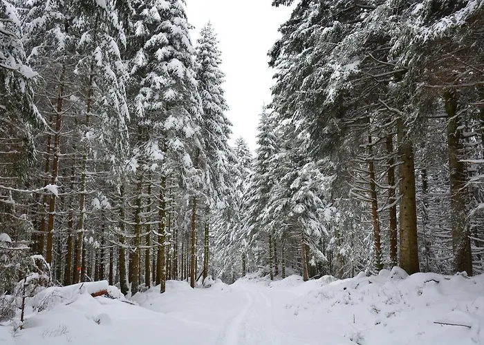 Noa Prázdninový dům Xonrupt-Longemer
