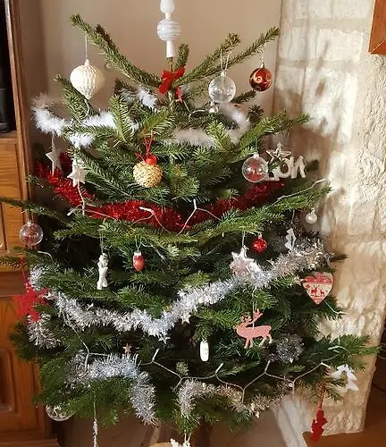 Noa Xonrupt-Longemer