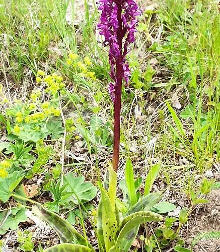 Noa Prázdninový dům Xonrupt-Longemer